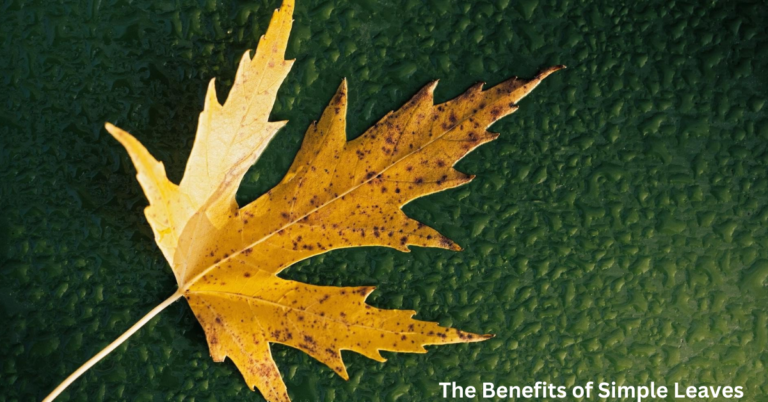 The Benefits of Simple Leaves